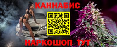 стаф Кимры